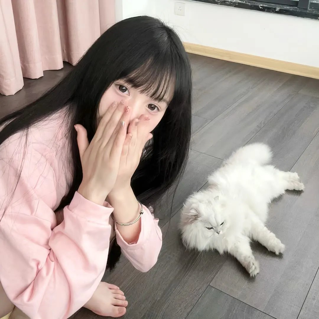 公牛